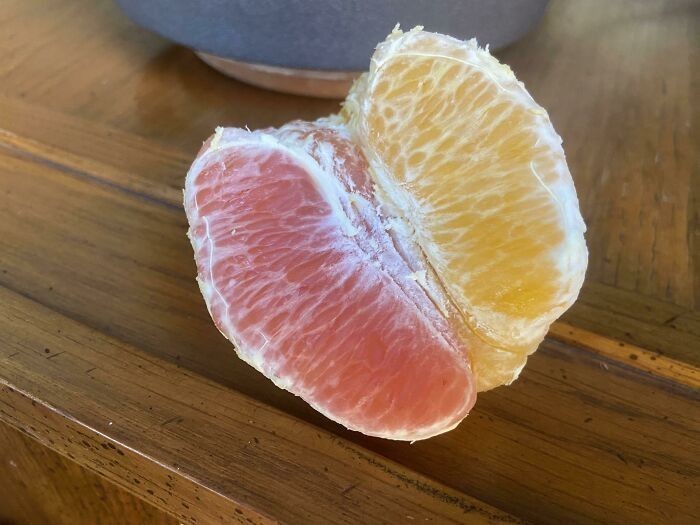 12. "Moja pomarańcza ma cząstki w różnych odcieniach."