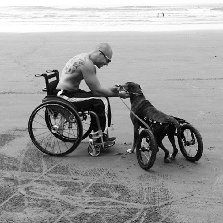 7. "Pies mojego znajomego poznał nowego przyjaciela na plaży."