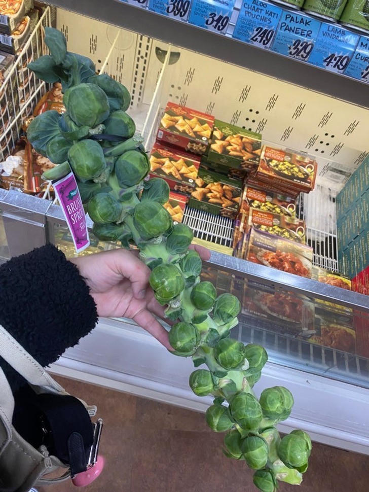 10. "Poważny napad lękowy trzymał mnie w domu przez zeszły tydzień, ale wreszcie udało mi się wyjść do sklepu i kupić warzywa."