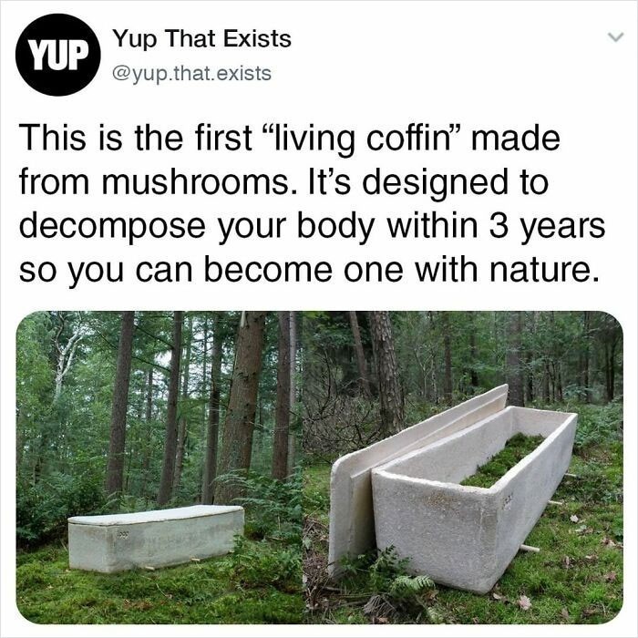 11. Pierwsza "żywa trumna" wykonana z grzybów. Jest zaprojektowana tak, by rozłożyć twoje ciało w ciągu trzech lat, pozwalając ci połączyć się z naturą.