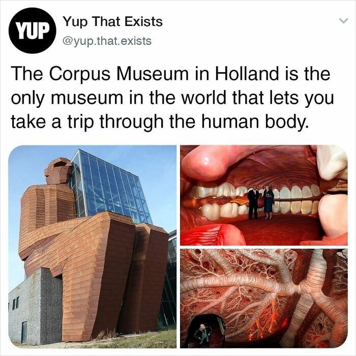 7. Muzeum Corpus w Holandii to jedyne muzeum na świecie pozwalające zwiedzić wnętrze ludzkiego ciała.