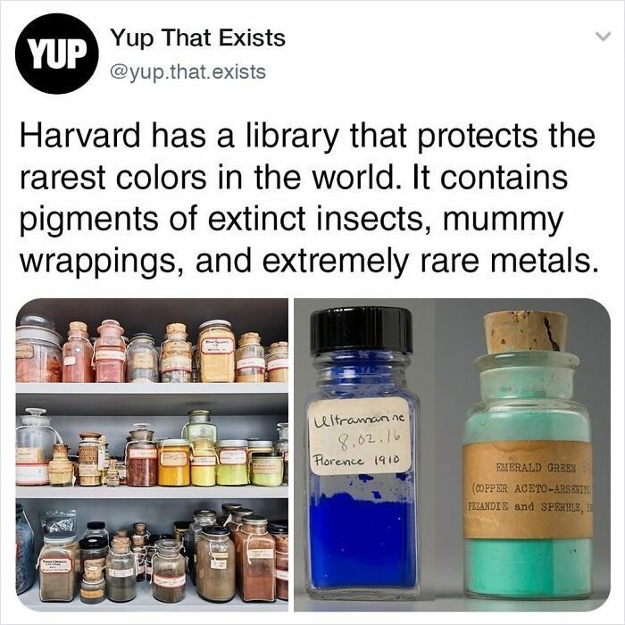 8. Harvard posiada bibliotekę przechowującą najrzadsze kolory na świecie. Zawiera ona pigmenty wymarłych insektów, bandaży mumii i ekstremalnie rzadkich metali.