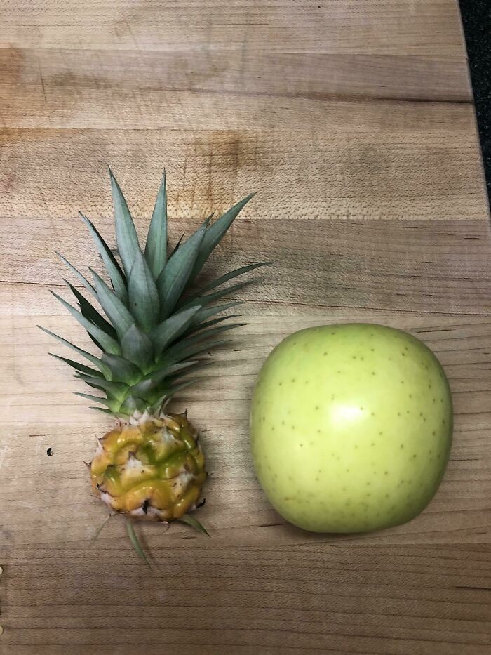 "Mój potężny ananas (jabłko dla skali)"