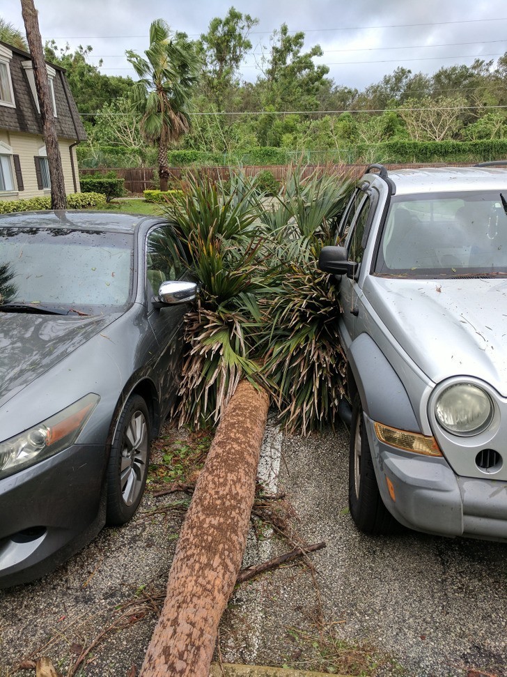 17. "Po lewej stoi mój samochód. Po prawej auto mojego współlokatora."