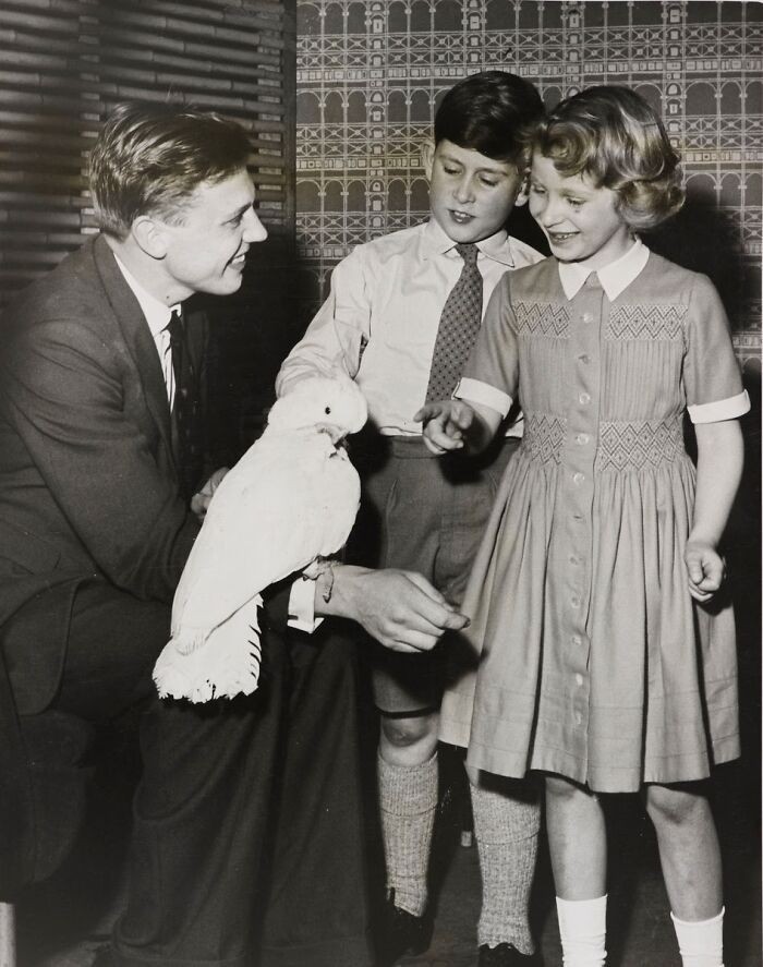 David Attenborough zabawiający księcia Karola i księżniczkę Annę z pomocą kakadu, 1958