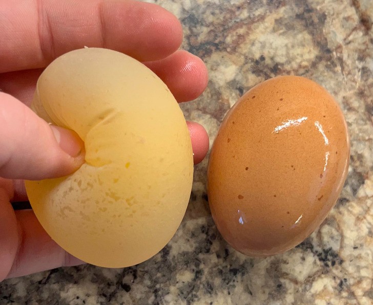 "Czasem moje kury składają jaja, których skorupki nie są do końca uformowane."