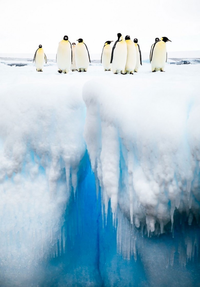 15. Uważajcie na przepaść - Antarktyka