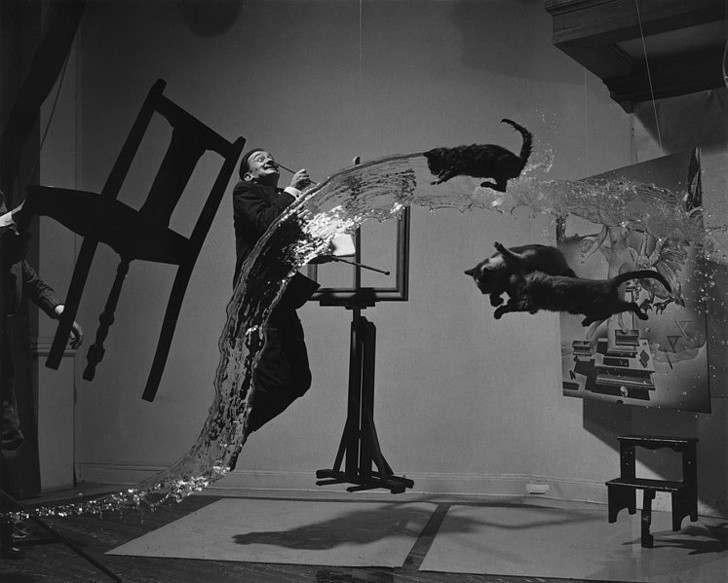 7. Salvador Dali i 3 latające koty