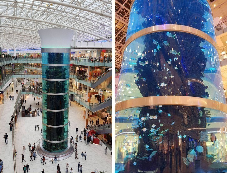 Centrum handlowe w Moskwie posiada najwyższe akwarium na świecie.