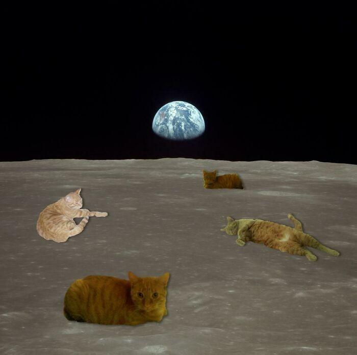 "Jeśli lądowanie na księżycu było ustawione, jak wyjaśnicie to zdjęcie?"