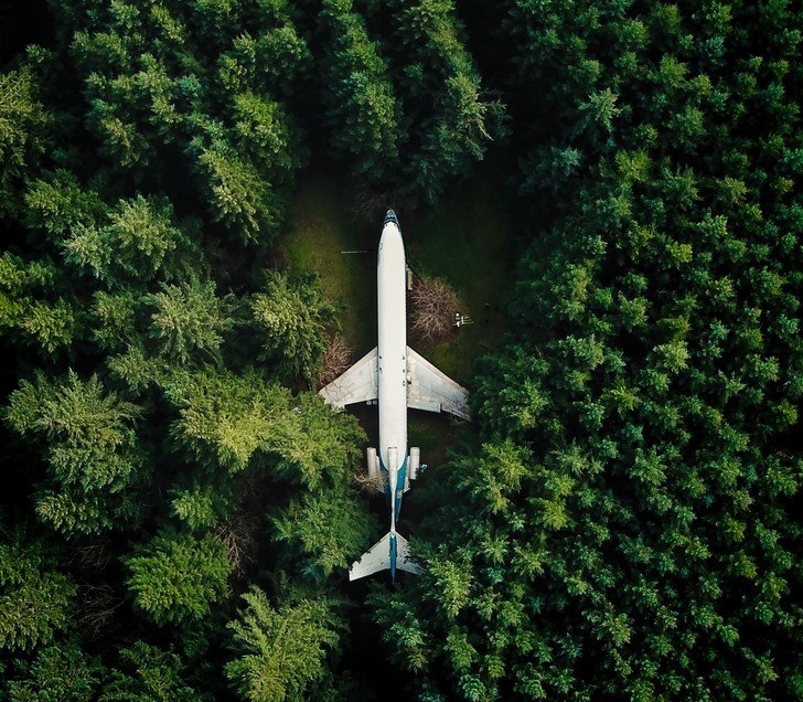 4. "Samolot w lesie w Oregonie"