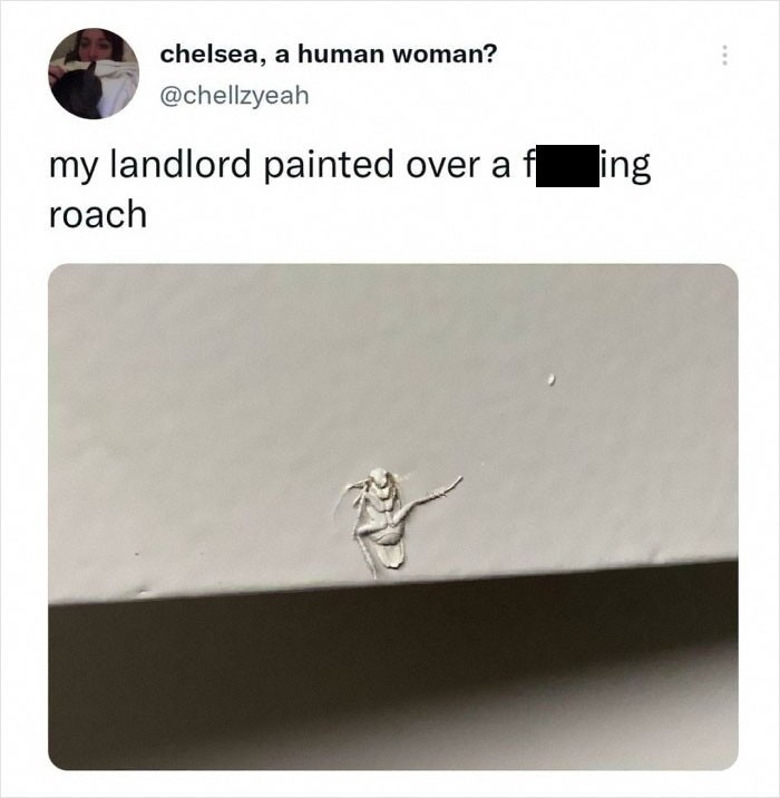 7. „Właściciel mieszkania zamalował karalucha.”