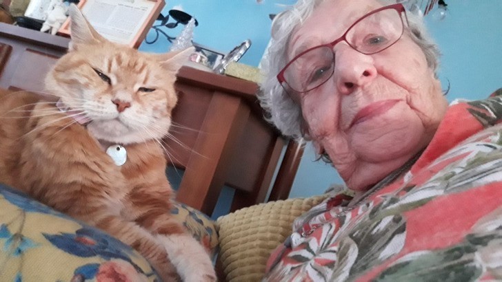 14. "Moja 90-letnia babcia i jej 12-letni kot uwielbiają wysyłać mi selfie na dobranoc."
