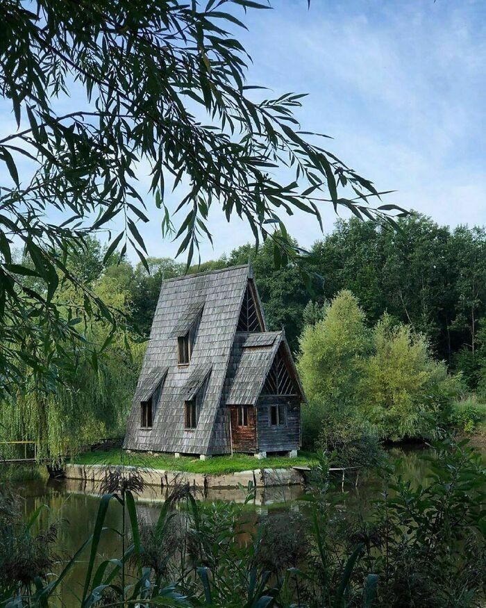 8. Stary drewniany domek w lesie w pobliżu wsi Zbroje