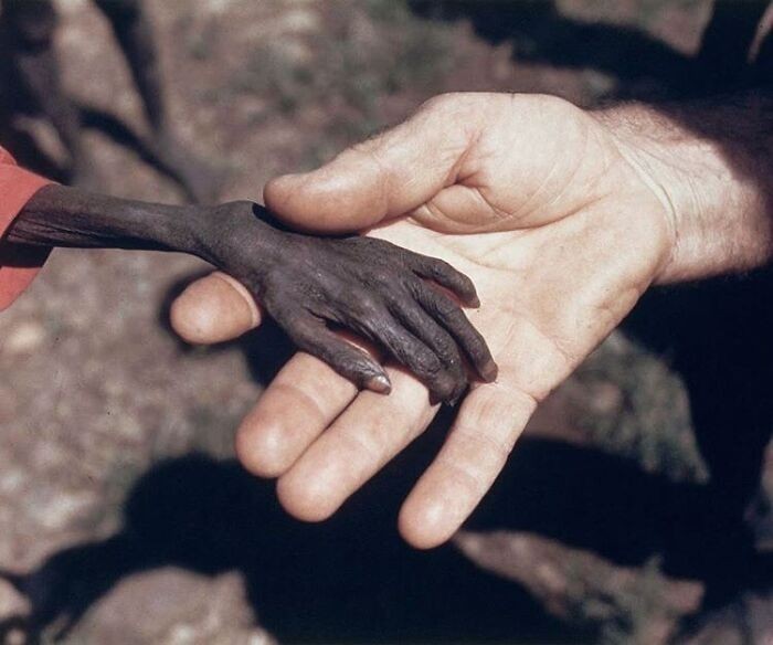 11. Dłonie głodującego chłopca i katolickiego misjonarza, Uganda, 1980