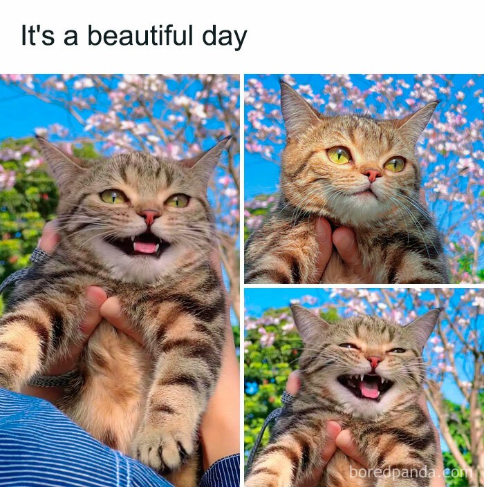 "Piękny dzień"