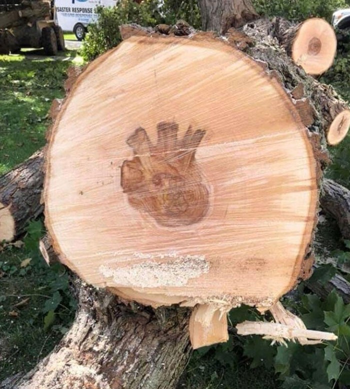 "Środek tego drzewa wygląda jak serce."