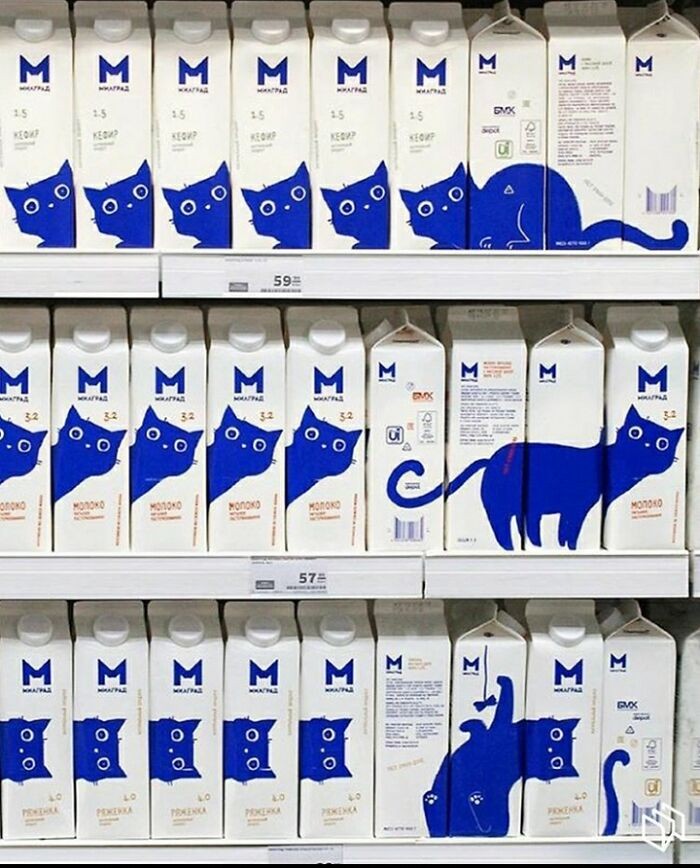 Kartony mleka z uroczym kotkiem