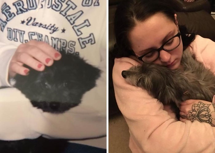 1. Kobieta adoptowała starszego psa ze schroniska, który okazał się jej szczeniakiem zagubionym w dzieciństwie.