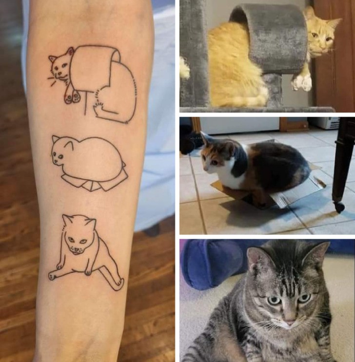 "Zrobiłam sobie tatuaż moich kotów. Uwielbiam go."