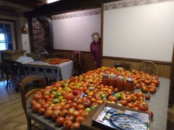 "Zbiory pomidorów mojej 91-letniej babci"