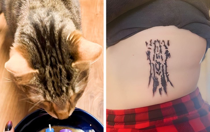"Tatuaż upamiętniający mojego kota"