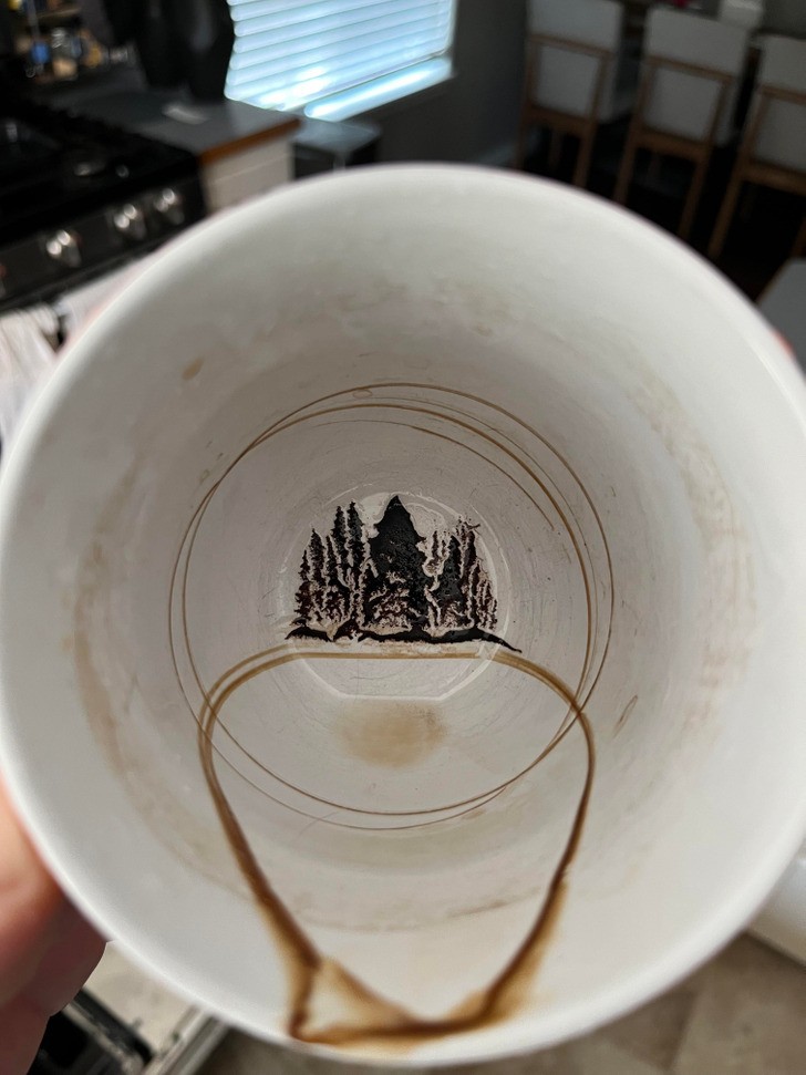 "Mój brudny kubek od kawy wygląda jak las iglasty."