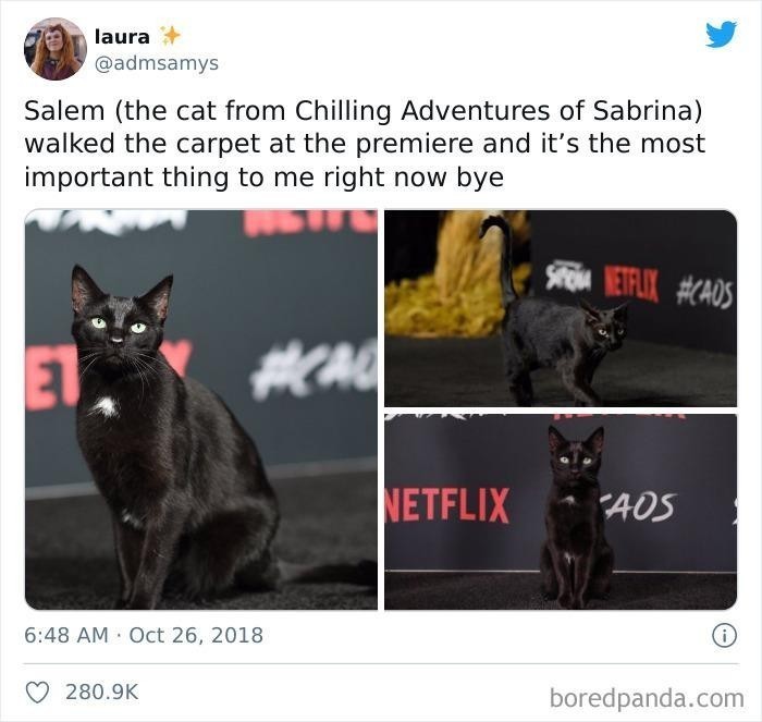 10. Salem (kot z serialu Chilling Adventures of Sabrina) był obecny na premierze sezonu.