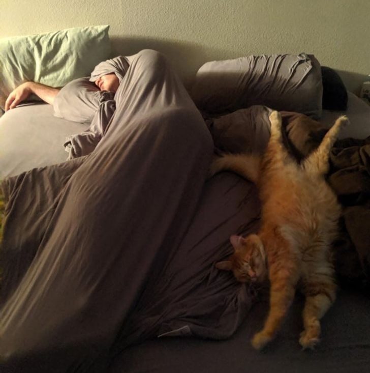 7. „Każdy robi te urocze zdjęcia właścicieli ze śpiącymi zwierzakami, a tymczasem u mnie w domu:”