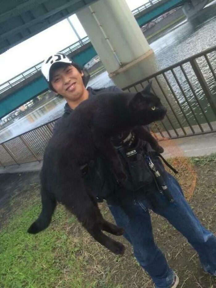 "Japoński wędkarz znalazł ogromnego kota."