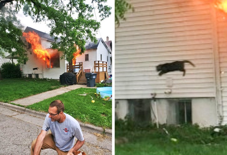 "Ten mężczyzna ocalił naszego psa. Na drugim planie widzicie naszego kota wyskakującego przez okno."