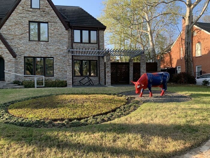 Krowa w stroju Spider-Mana (przed domem wartym 1.9 miliona dolarów)
