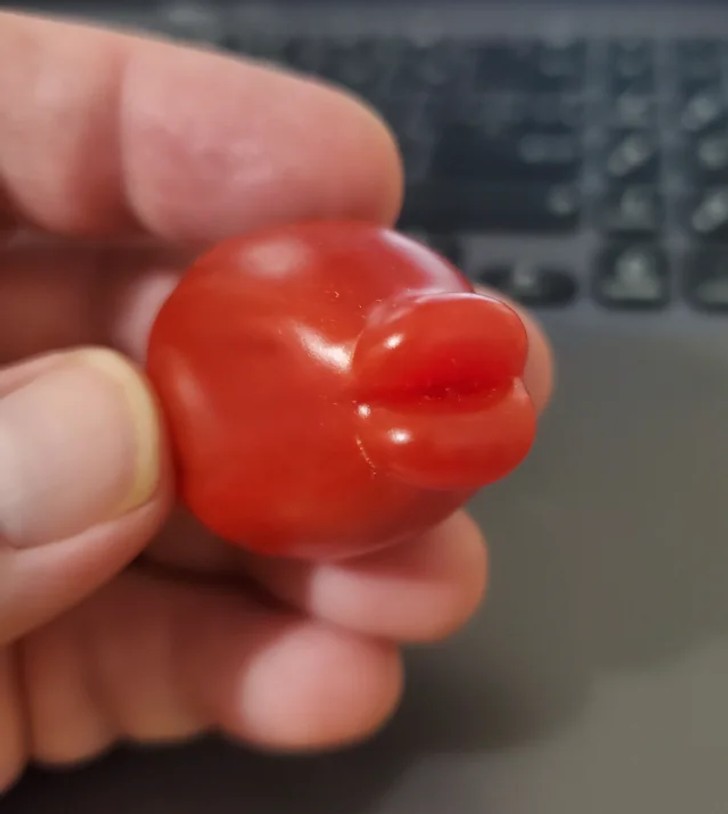 "Pomidorowy buziak"