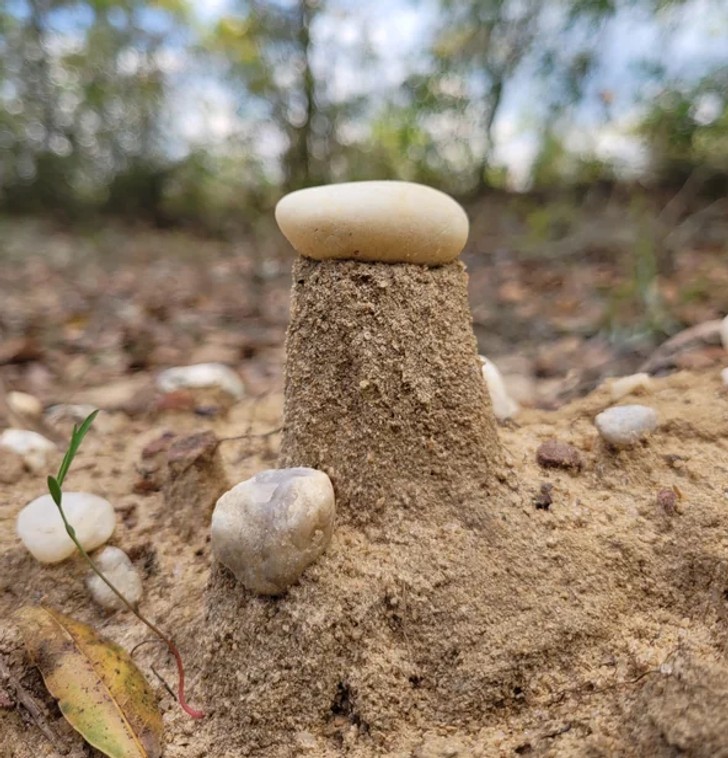 "Deszcz zmył cały piasek wokół tego kamienia."