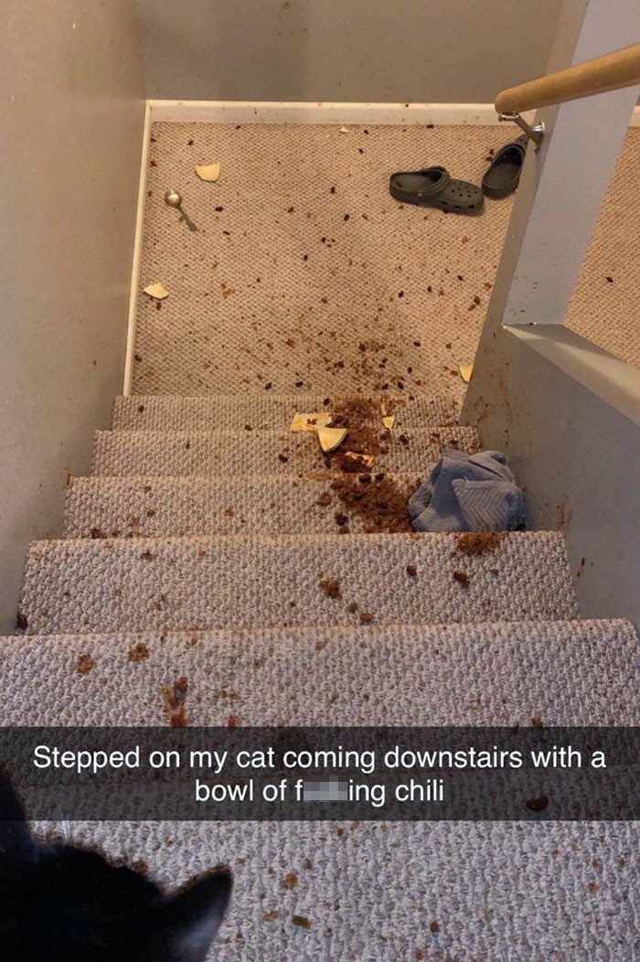 "Nadepnąłem na mojego kota schodząc na dół z miską chili."