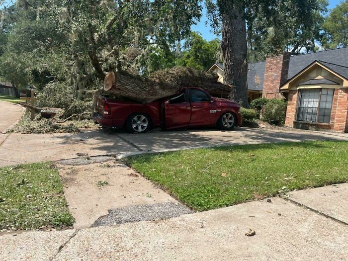 "U sąsiada wycinano martwe drzewo. Wykonawca popełnił mały błąd."