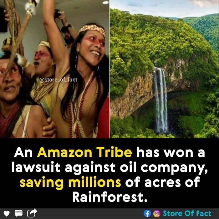 "Amazońskie plemię wygrało pozew przeciwko koncernowi paliwowemu i ocaliło miliony akrów lasów deszczowych."