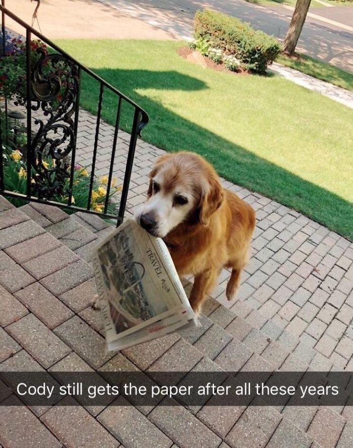 „Cody to najlepszy staruszek.”