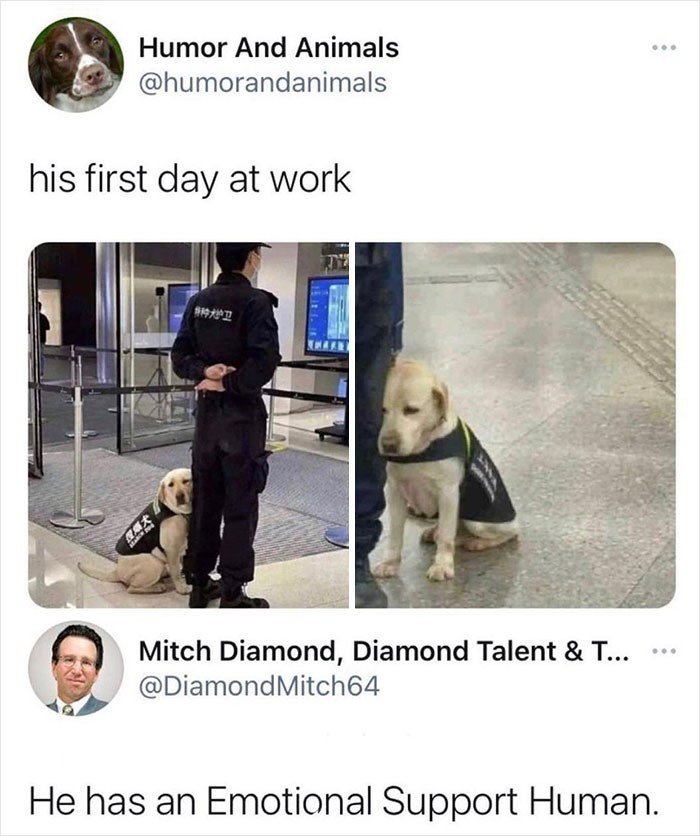 1. "Jego pierwszy dzień w pracy"