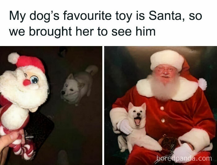 11. "Ulubioną zabawką mojej suczki jest Święty Mikołaj, więc zabraliśmy ją do niego w odwiedziny."