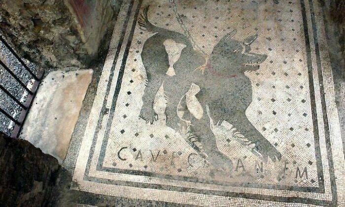 2. Jeden z najstarszych znaków "zły pies" na świecie, znaleziony w ruinach Pompejów