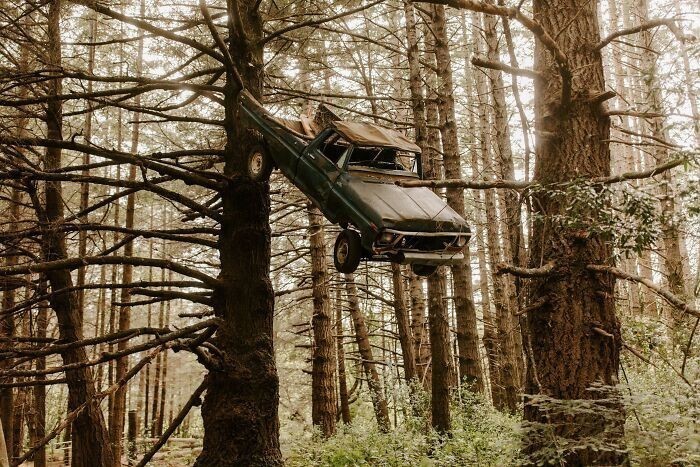 11. "Ten samochód, który dostrzegłem przejeżdżając przez las"