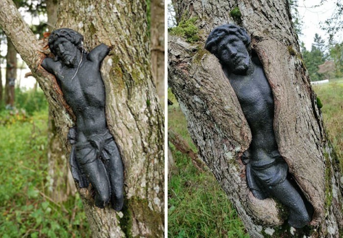 3. Rzeźba Jezusa na opuszczonym polskim cmentarzu, stopniowo wchłaniana przez drzewo. Zdjęcia zrobione w odstępie 12 lat.