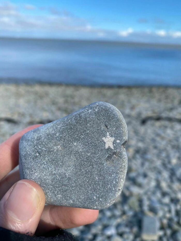 "Kamień z kryształem w kształcie niemal idealnej gwiazdy"