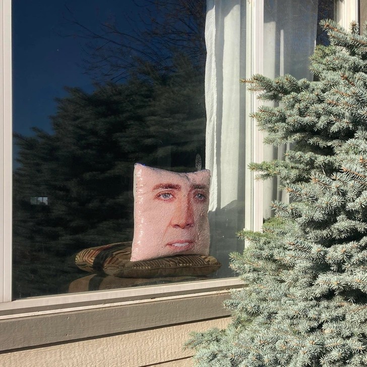 "Przez ostatnie tygodnie mieliśmy problem z ptakami wlatującymi w to okno. Poduszka z twarzą Nicolasa Cage'a rozwiązała problem."