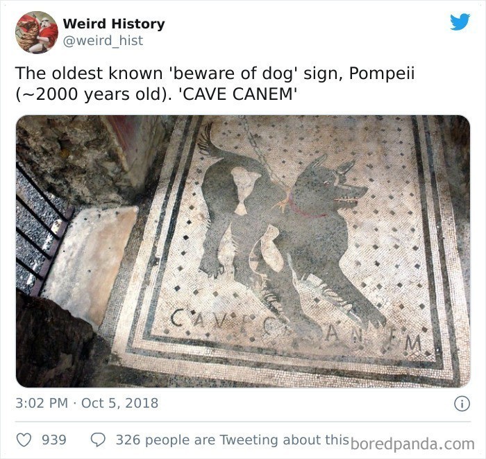 13. "Najstarszy znany znak ostrzegający przed psem - Pompeje, 2000 tysiące lat temu."