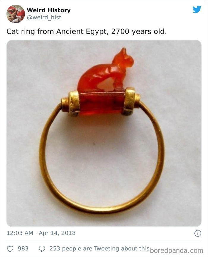14. "Koci pierścień ze starożytnego Egiptu, sprzed 2700 lat."