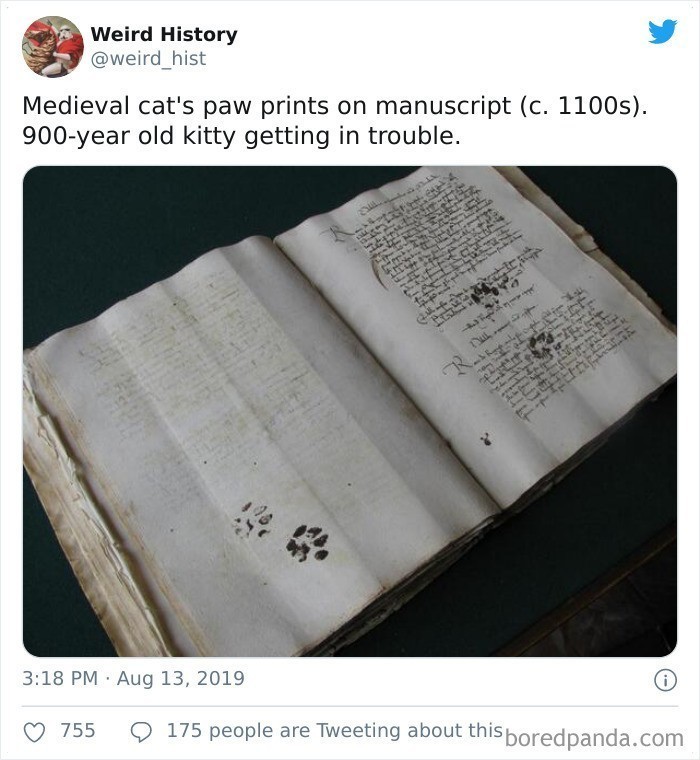 7. "Odciski kocich łapek na średniowiecznym manuskrypcie. 900 lat temu, jakiś kot wpadł w kłopoty."