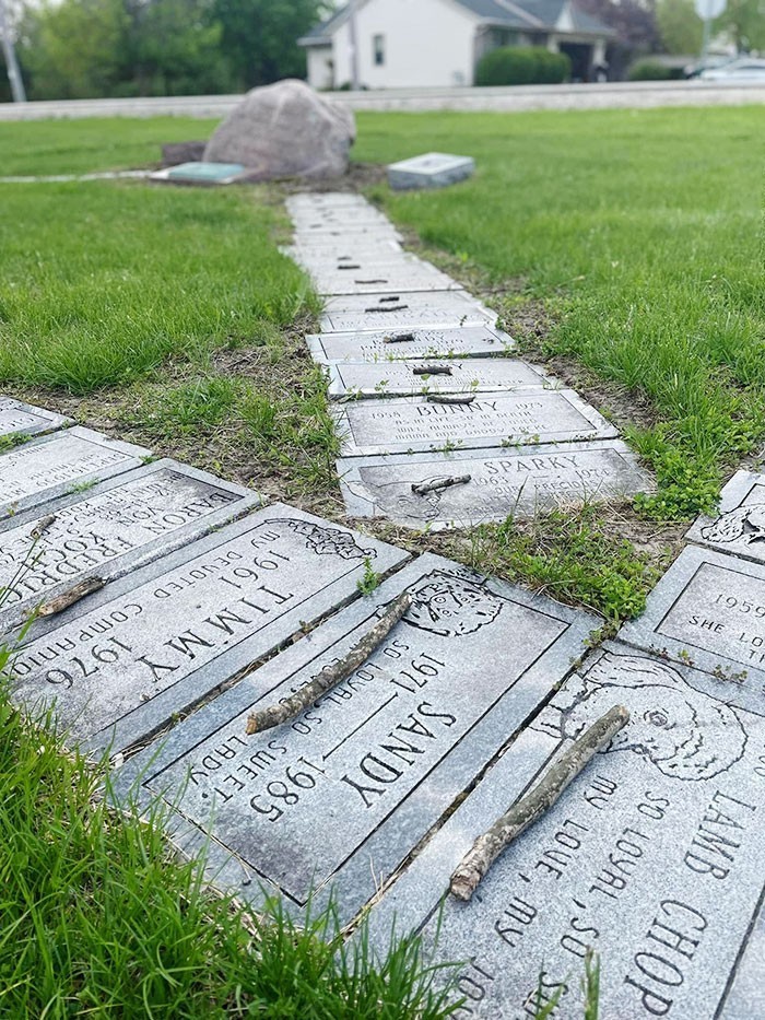 3. "Ktoś ułożył patyki na wszystkich grobach psów na tym cmentarzu."