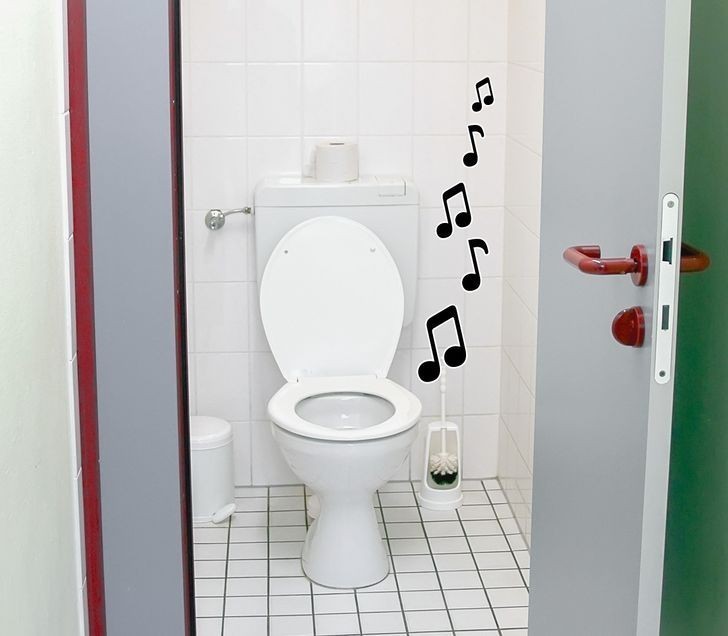 3. Niektóre japońskie toalety są wyposażone w specjalny system audio.